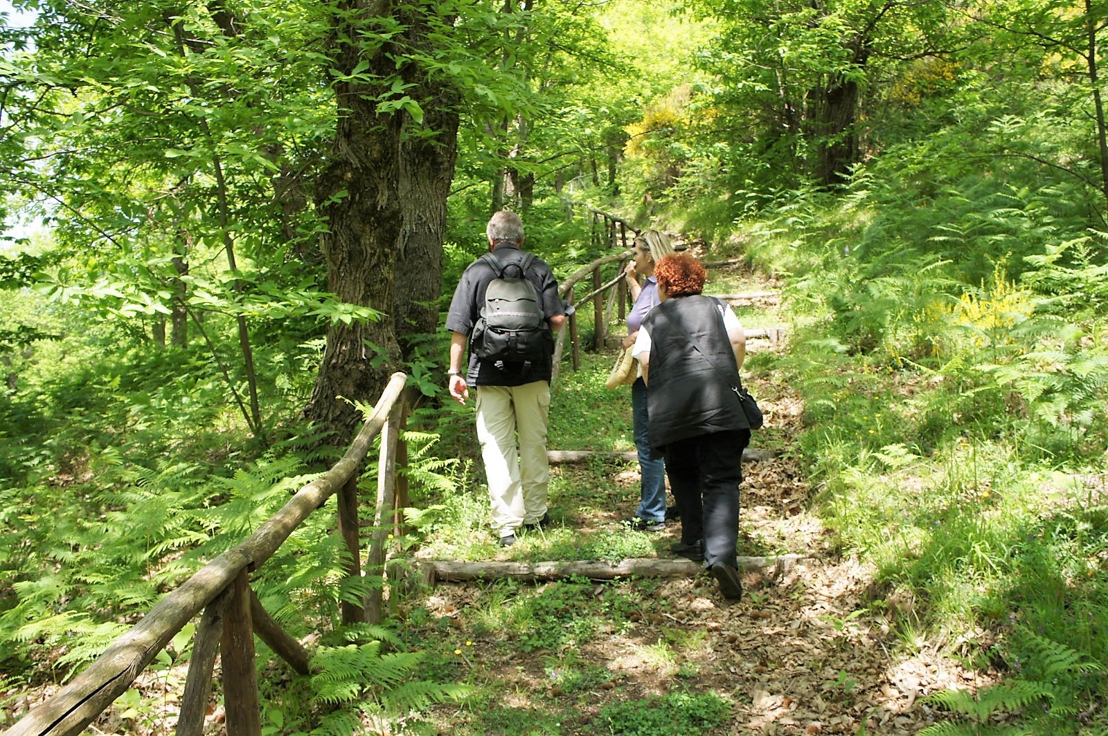 Wandern